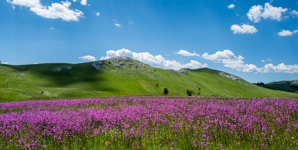 Auf dem Weg nach Žabljak