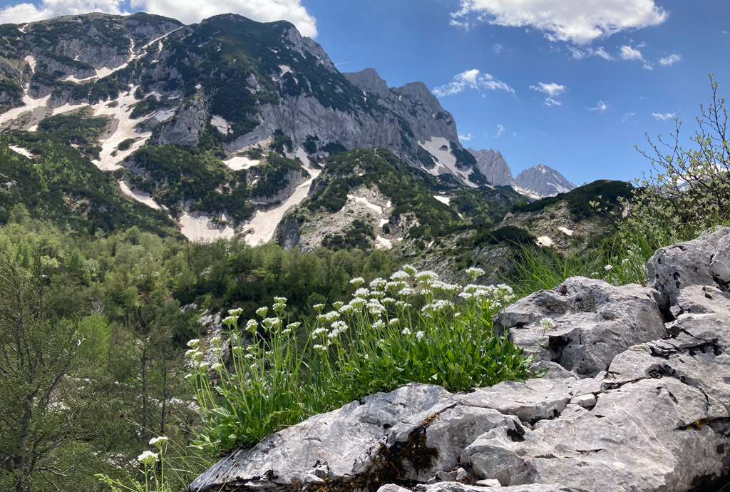 Blick auf Mali Međed (2223 m)