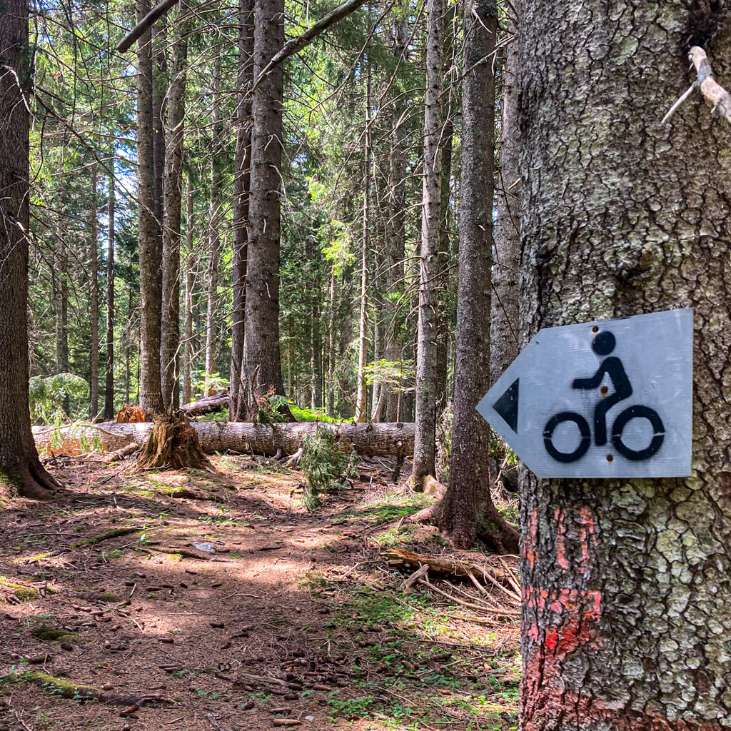 Versperrter Mountainbike Trail