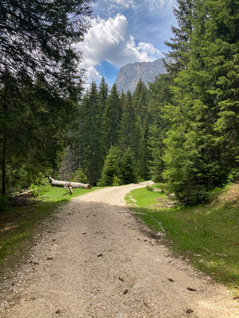 Waldstraße zum Wanderweg