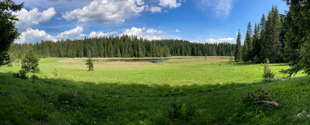 Feuchtwiesen am Barno Jezero