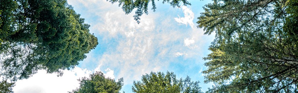 Himmel über dem Wanderweg