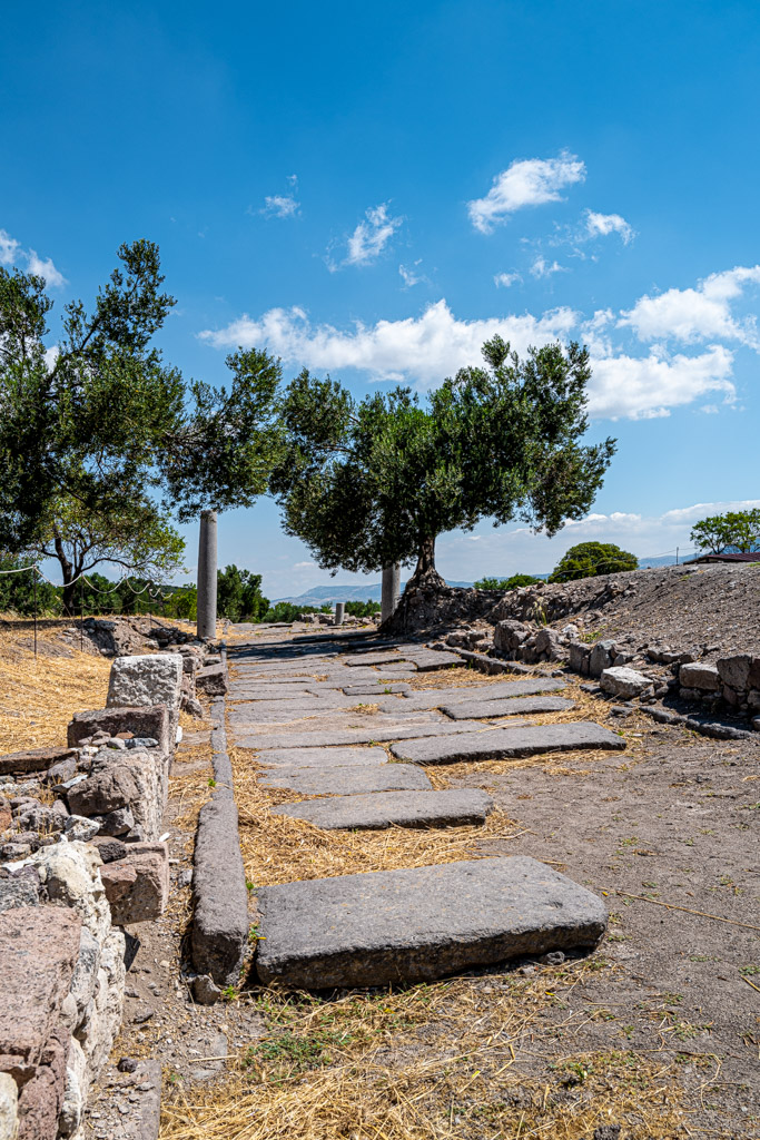 Heiliger Weg Tempel, Apollon Smintheus Tempel