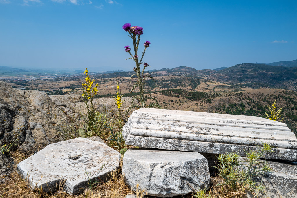 Fragmente, Pergamon