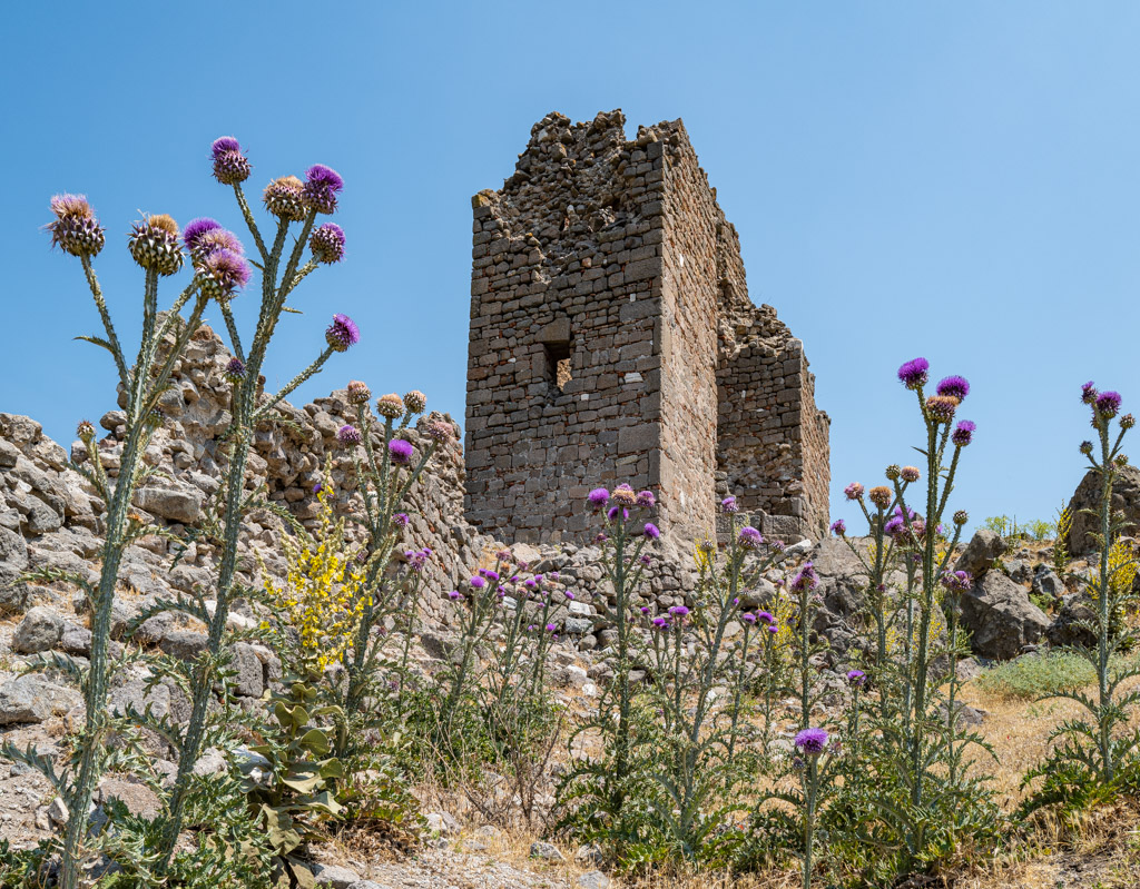 Teil der Stadtmauer