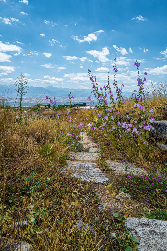 Überwachsener Stadtweg, Hierapolis