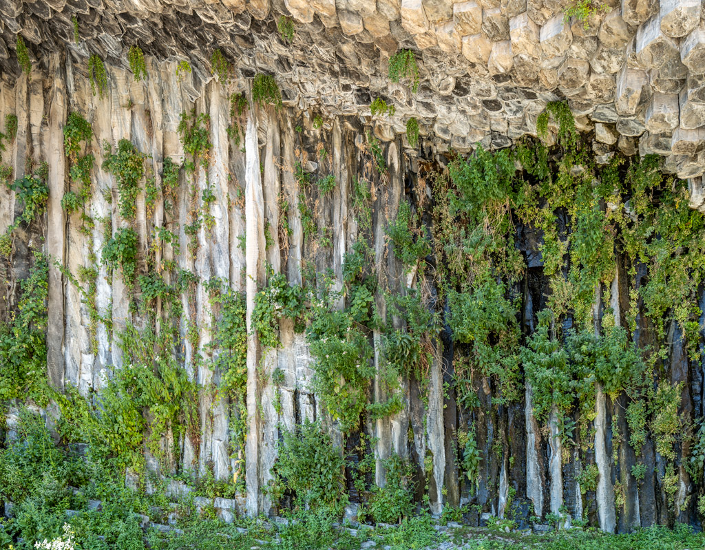 Überwachsene Basaltsäulen, Symphony of Stones
