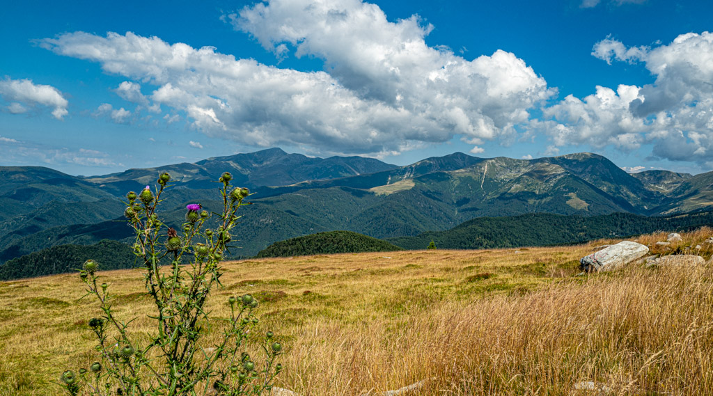 Urdele Pass, Transalpina