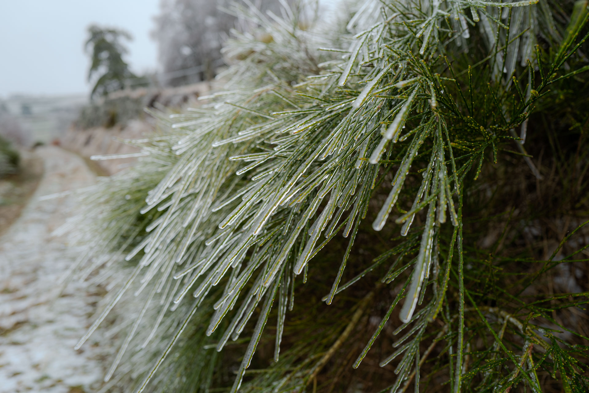 Nach dem Eisregen, Aubrac