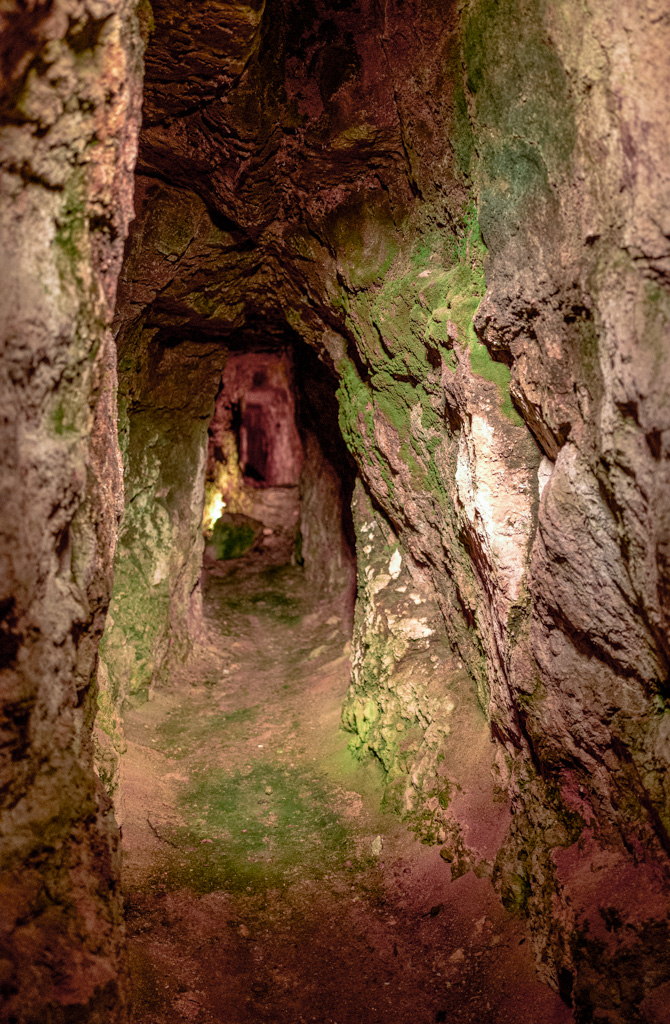 Penicillium roquforti in den Höhlen von Roquefort-sur-Soulzon
