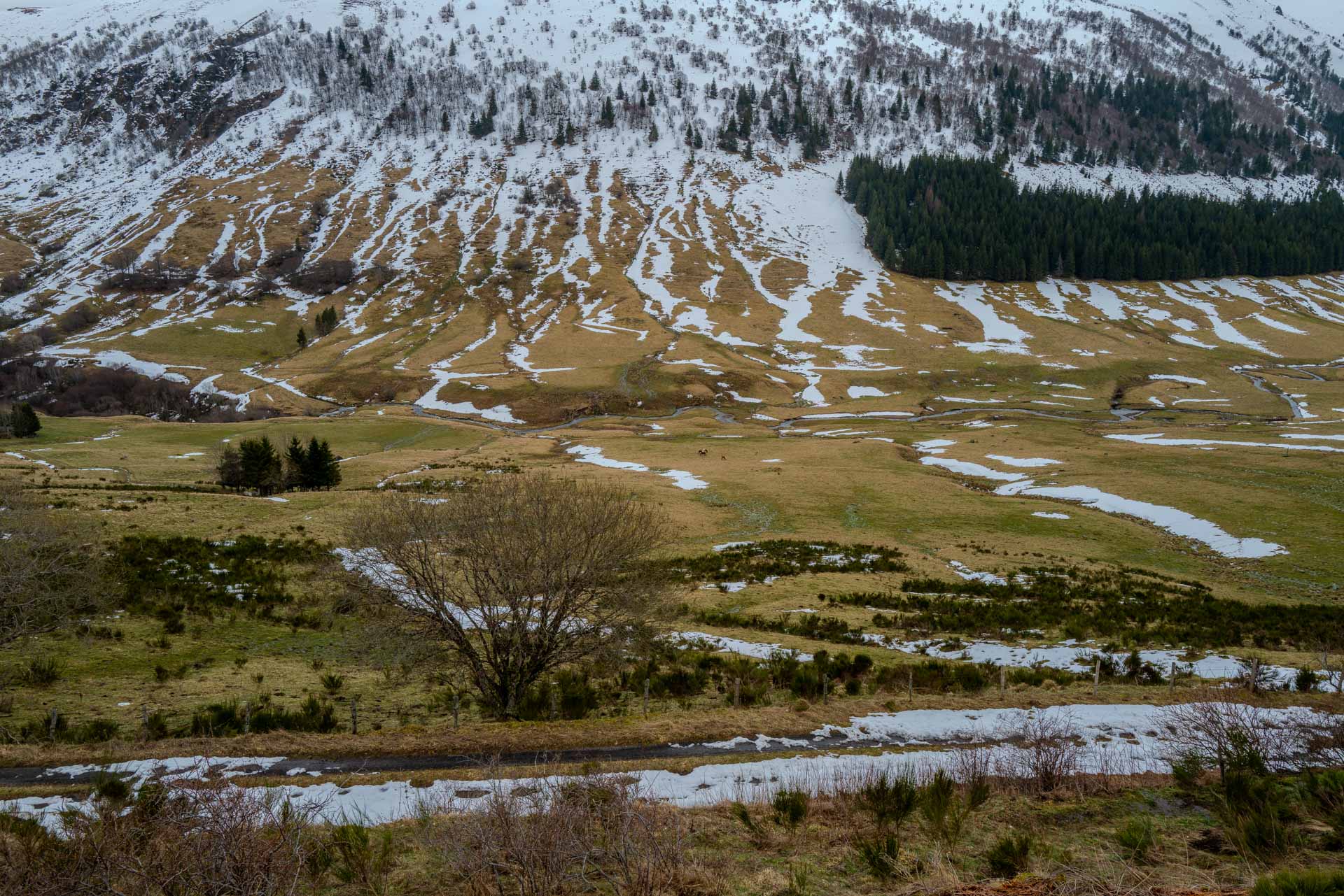 Col de Serre