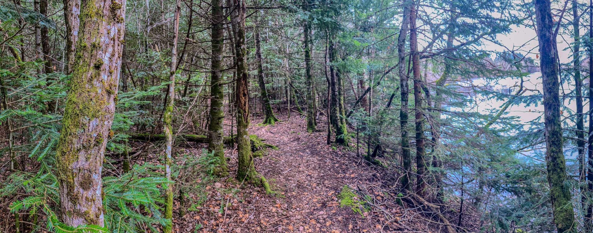 Wanderweg, nicht leicht zu finden...