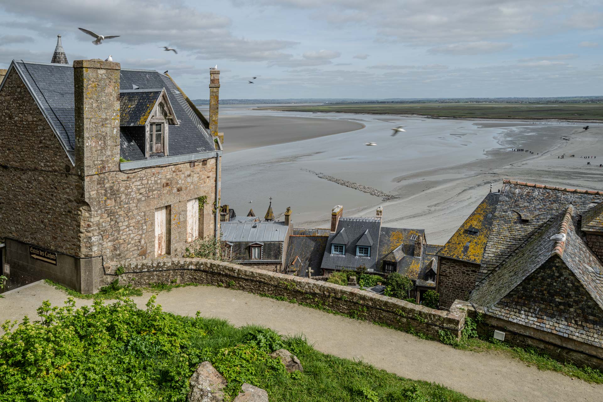 Ausblick bei Ebbe, Le Mont-Saint-Michel