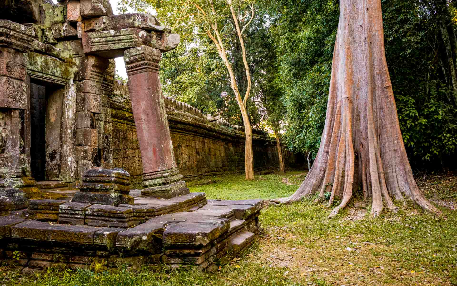 Spung-Baum, Preah Khan Tempel