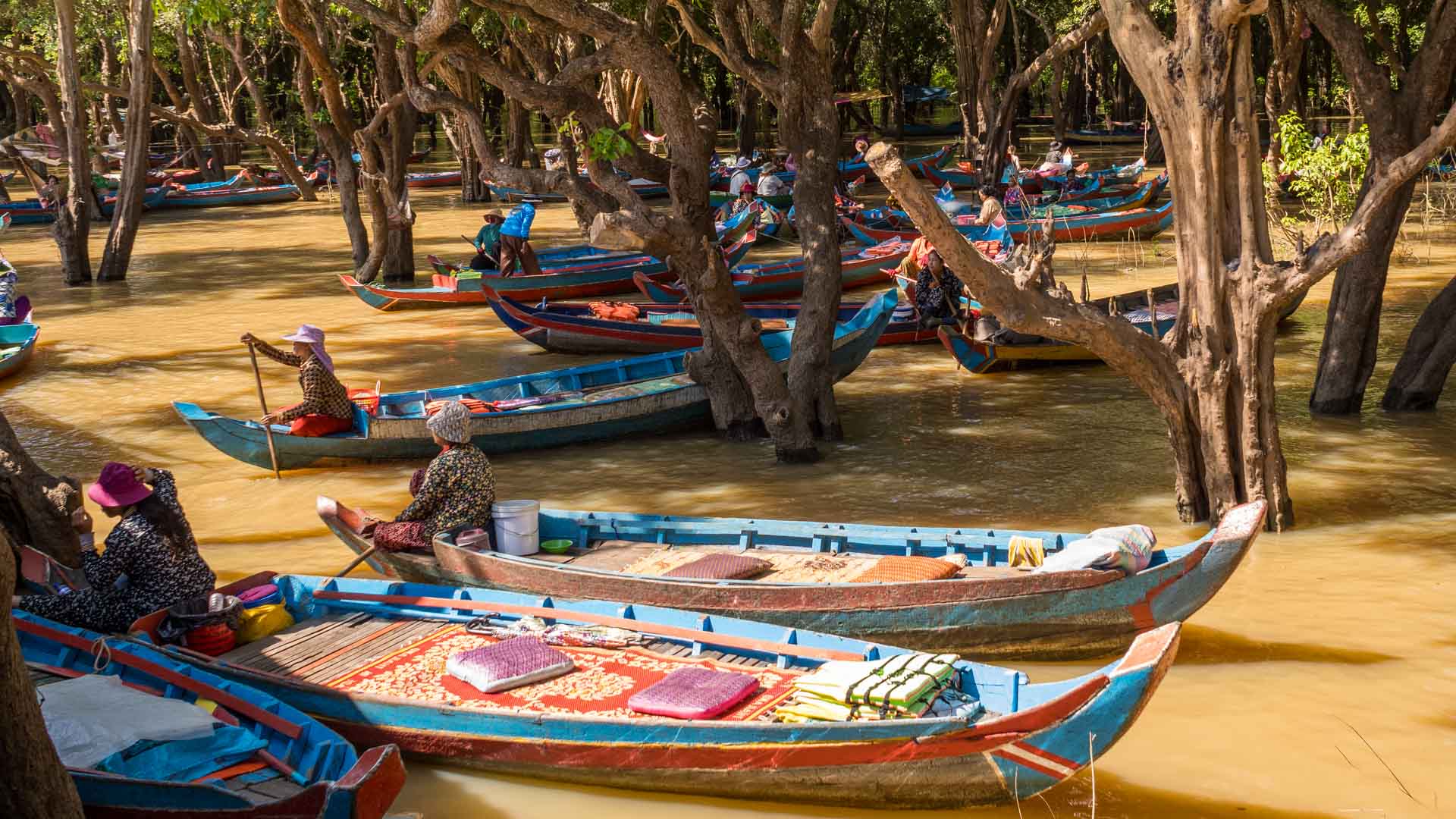 Ruderboote im Mangrovenwald, Kampong Phluk