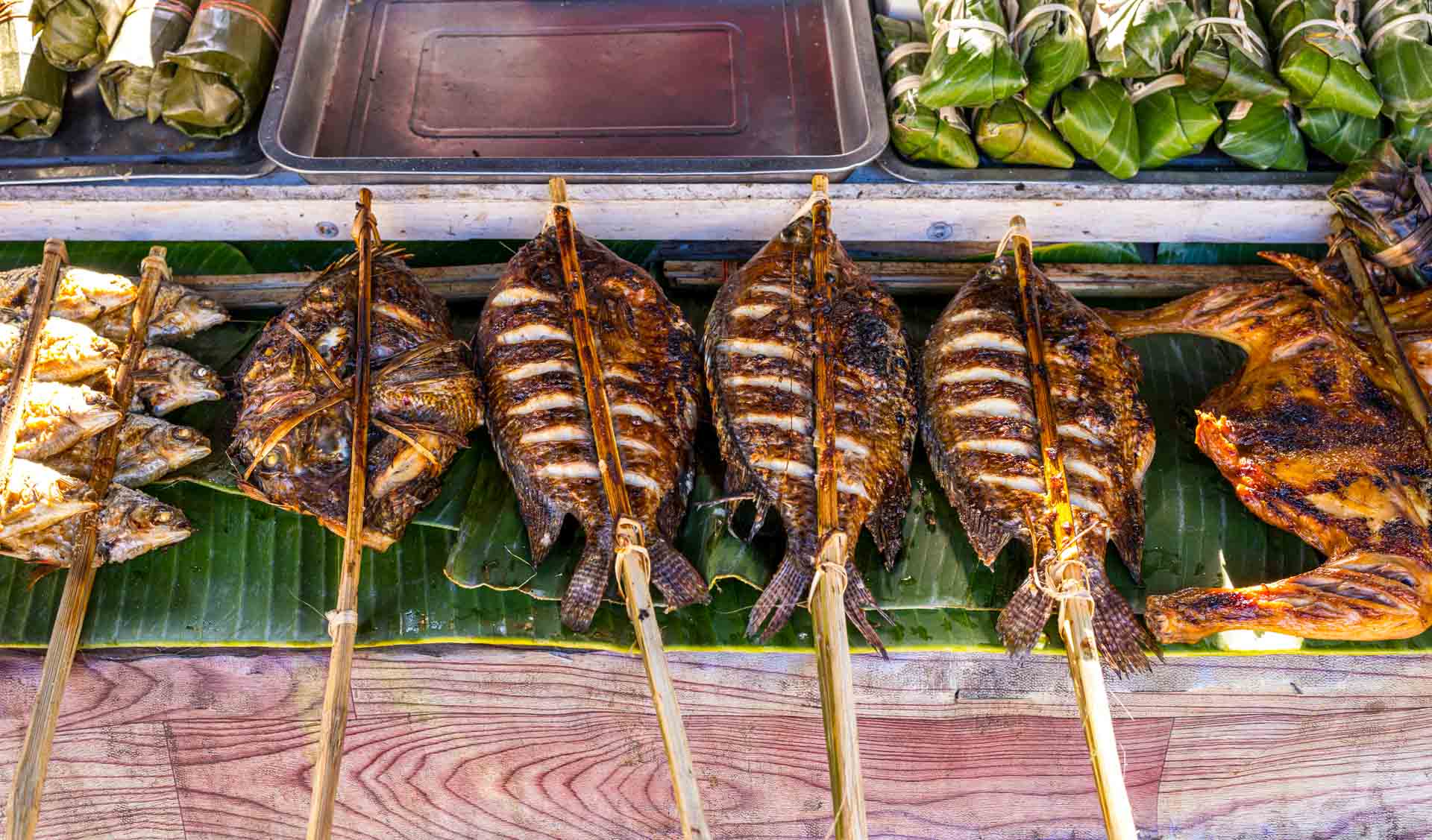 Ping Pa – Mekongfisch