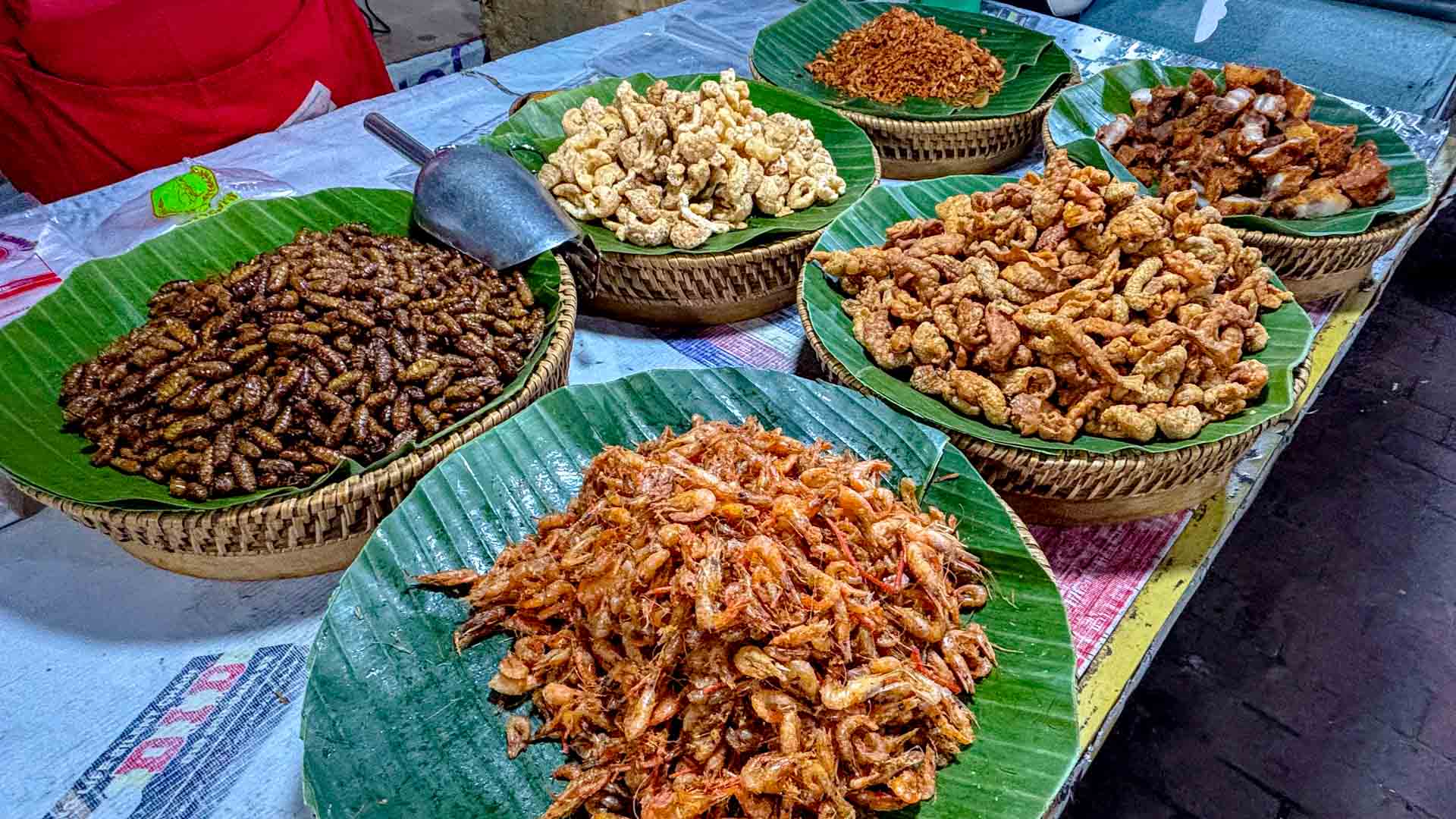 Bambuswürmer und andere Delikatessen