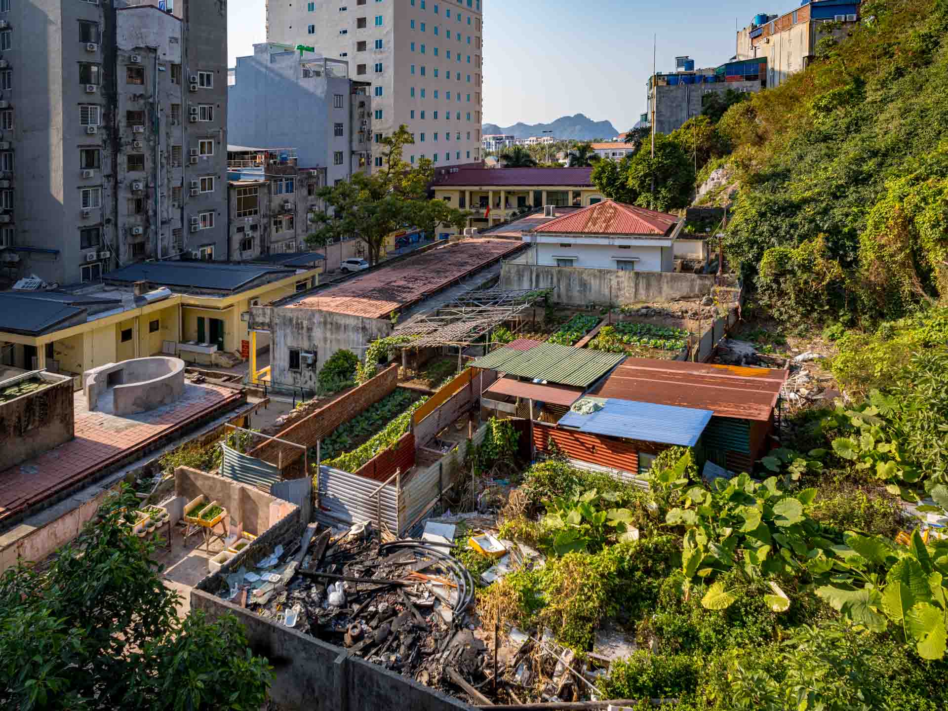 Cat Ba, Zimmeraussicht mit Meerblick