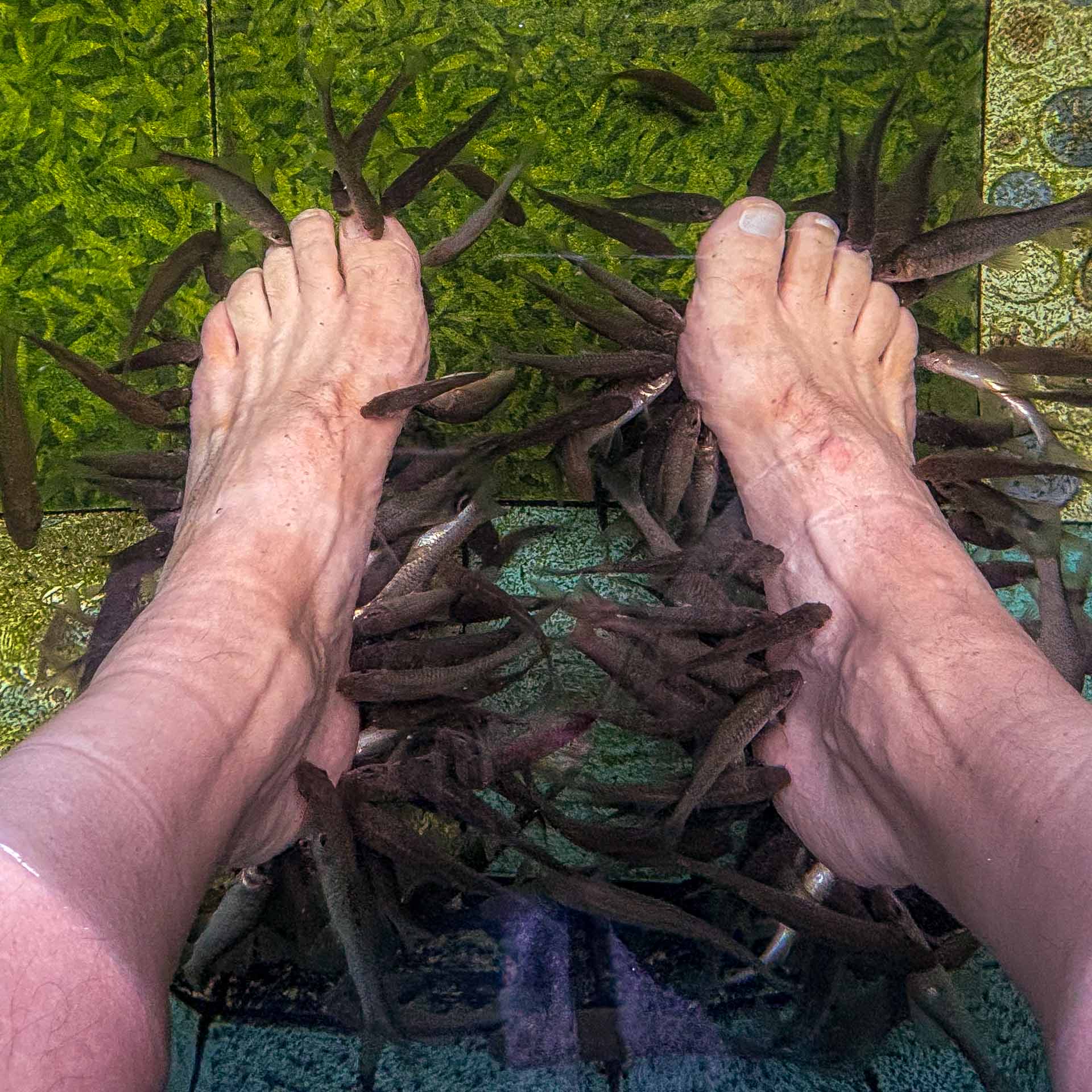 Zweifelhafte Pediküre