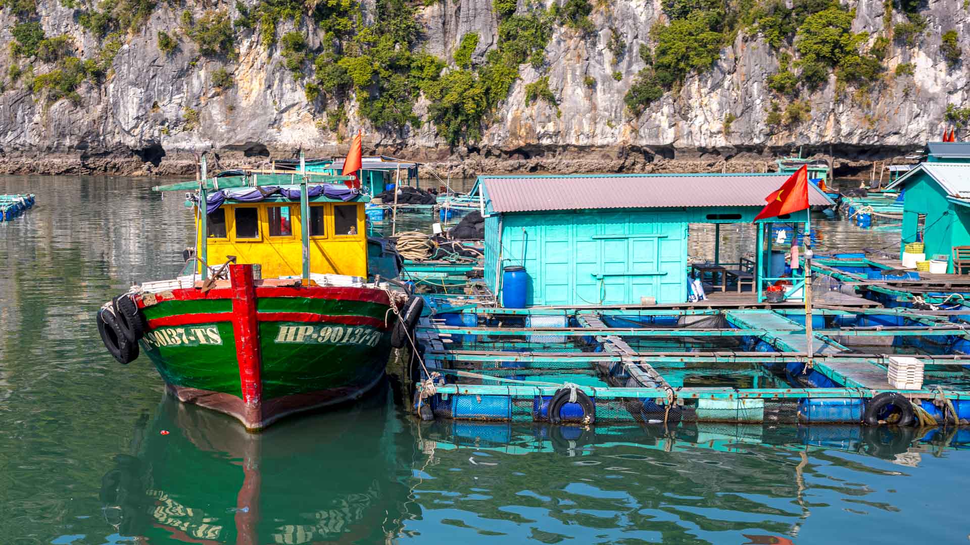 Floating Village, Fish Farm