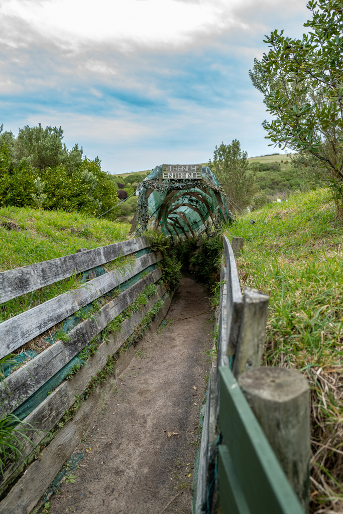 Beobachtungstunnel im Pinguinreservat