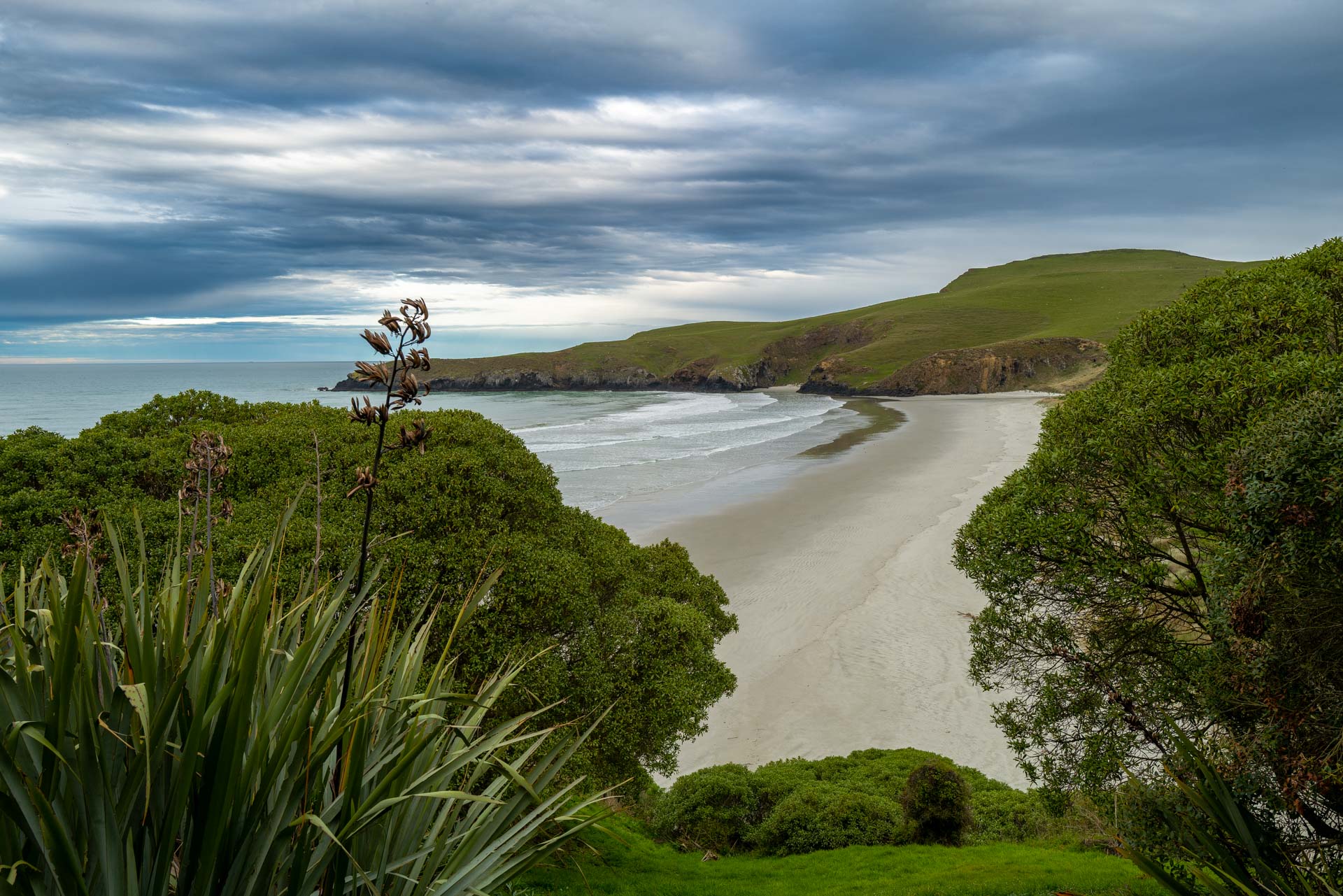 Beach at Pinguine Place