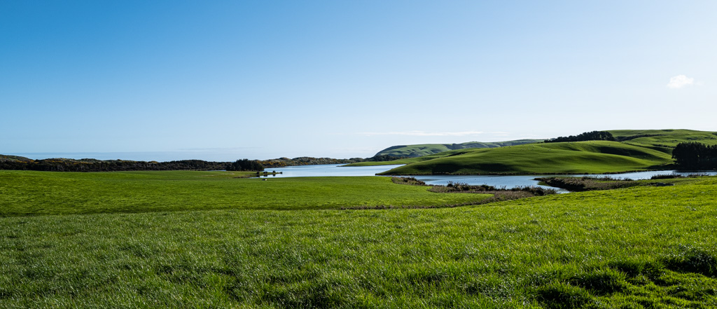 Endless meadows at South Coast of New Zealand