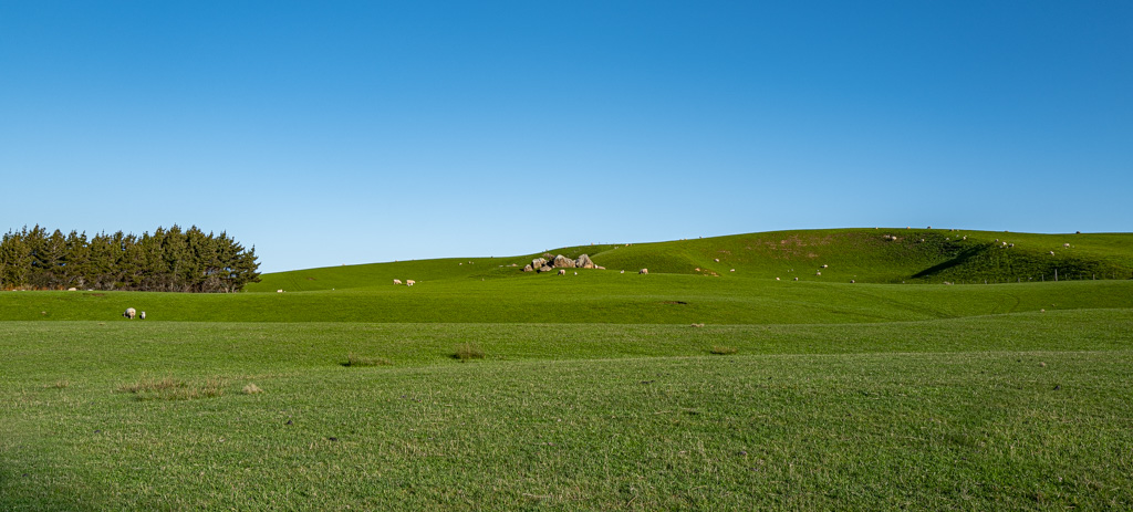 Endless meadows at South Coast of New Zealand