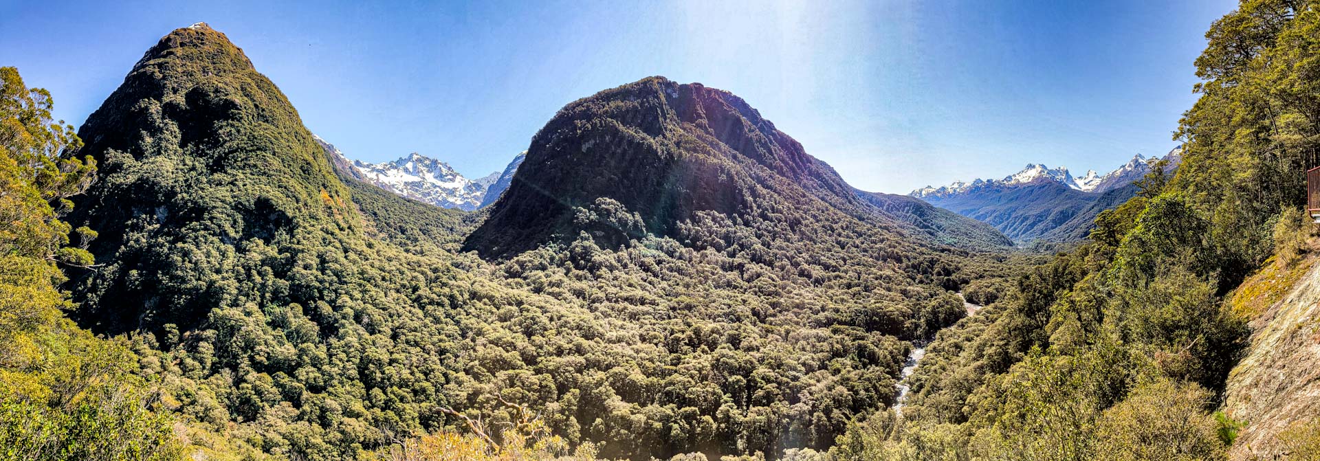 Hollyford Valley Lookout