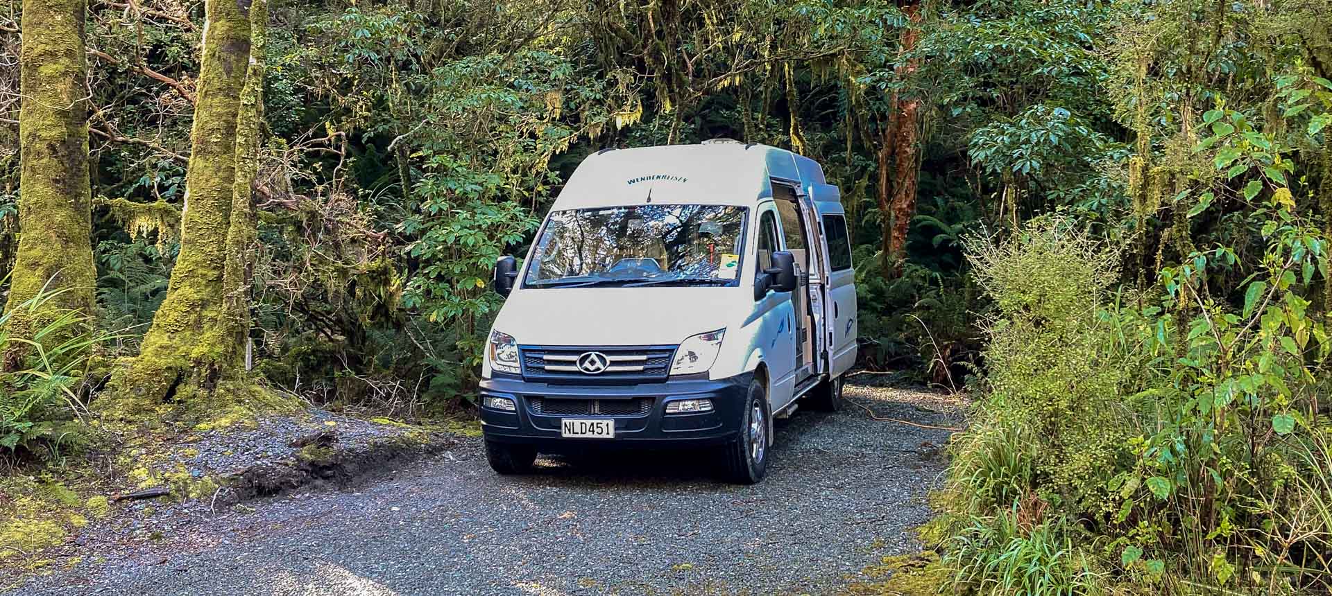 Rainforest Campground at Milford Sound