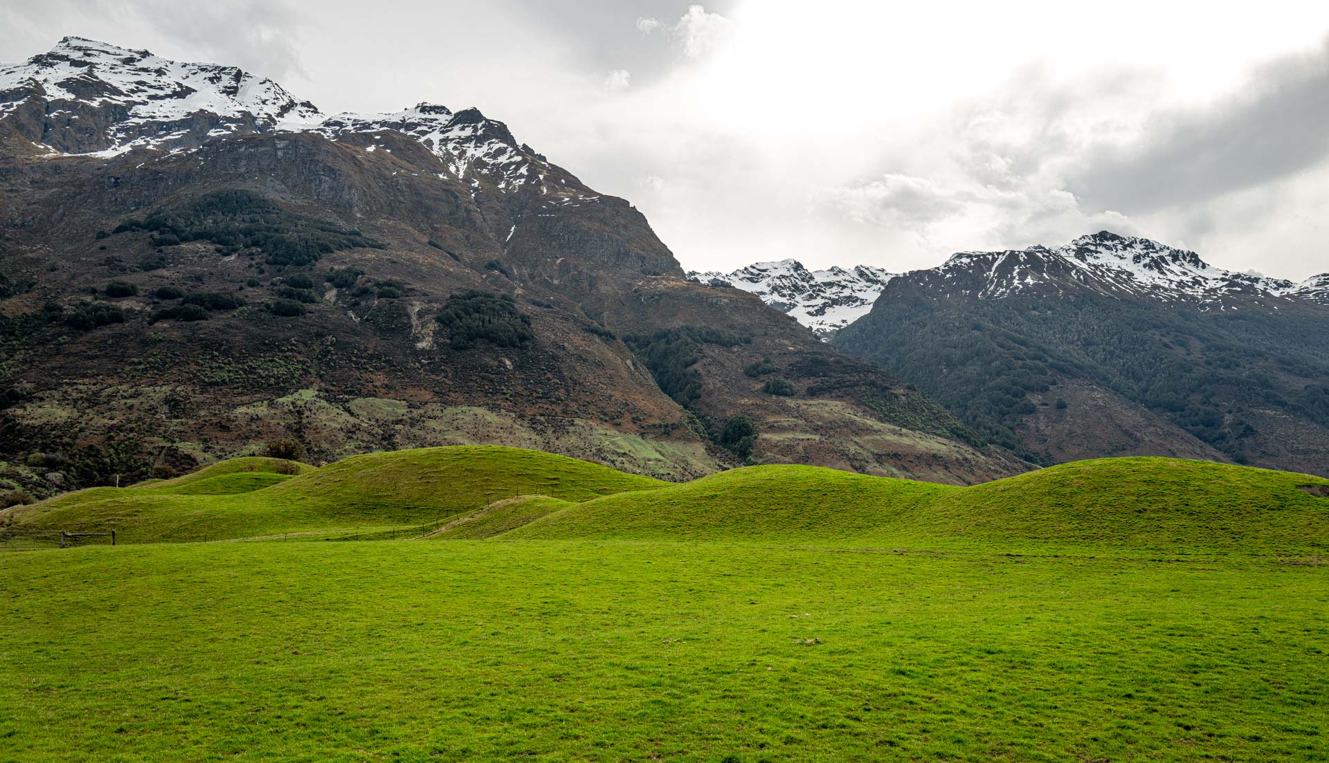 Green Hills at Paradise Road