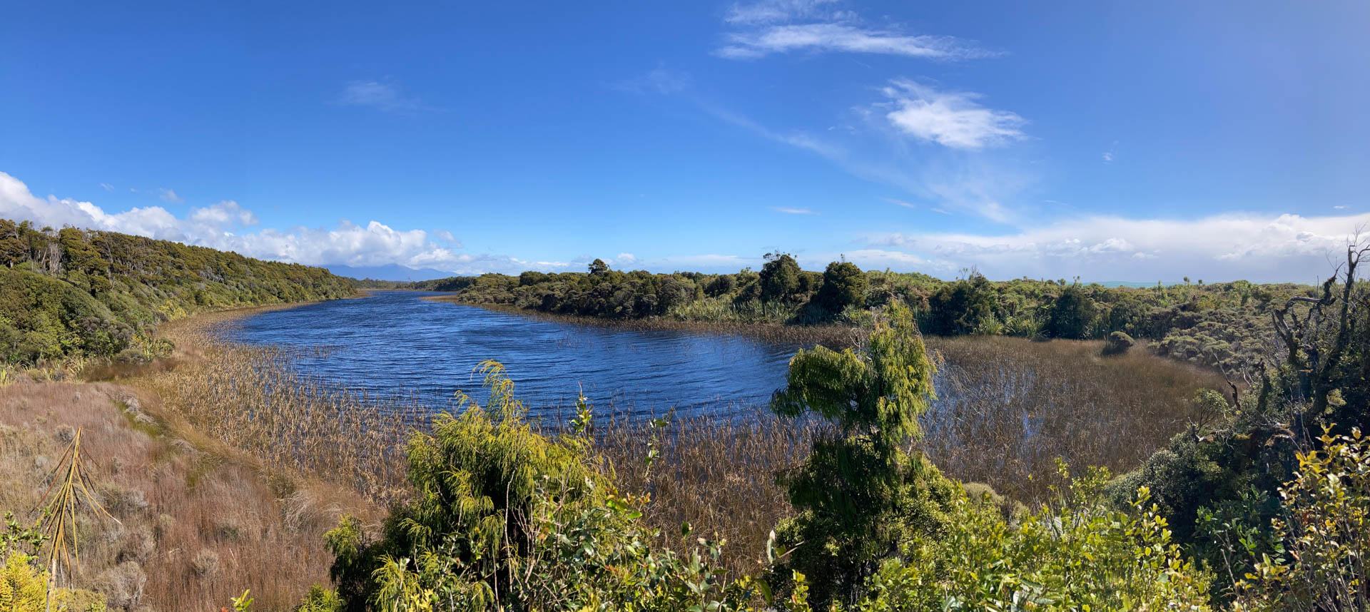 Ship Creek, Swamp Forest