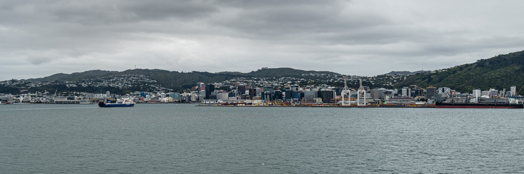 Skyline von Wellington
