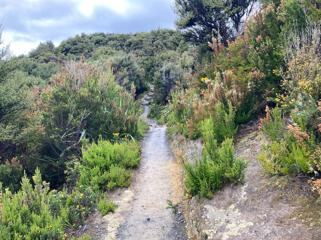 Ridge Trail, Putangirua Pinnacles