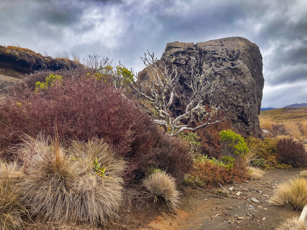 Toller Trail zum Lower Tama Lake