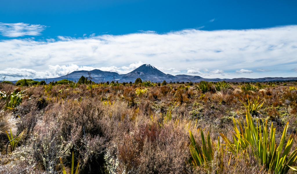Ngauruhoe Vulkan aus der Ferne