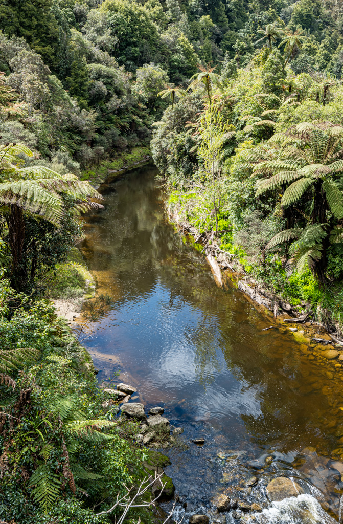 Tangarakau Gorge