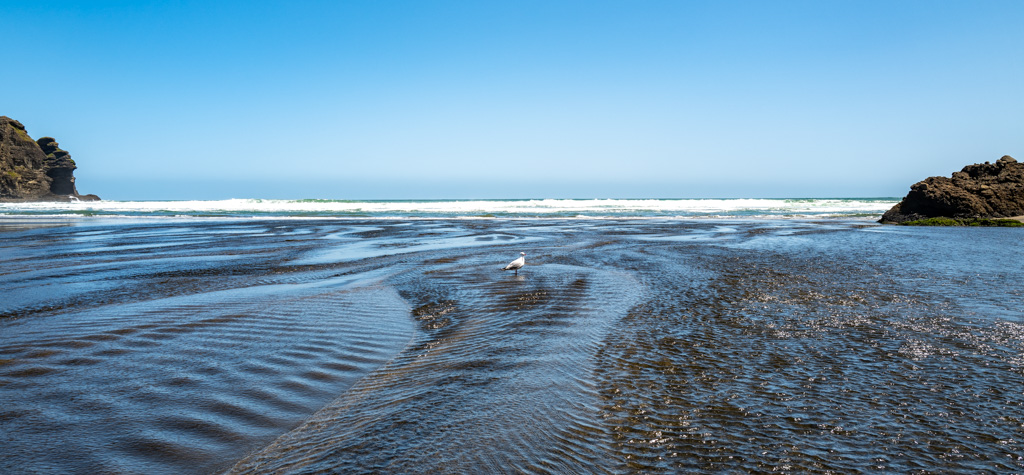 Schwarzer Strand von Piha