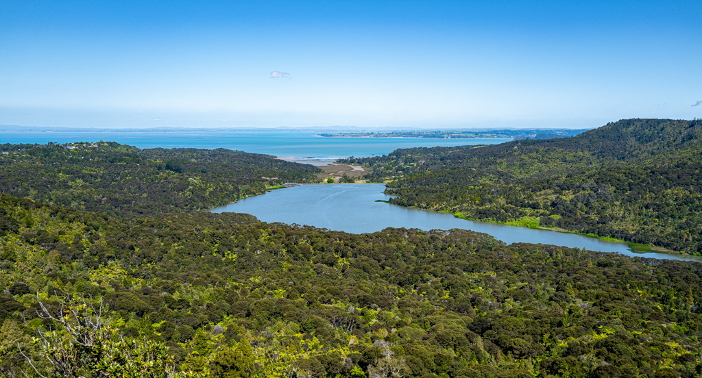 Blick in den Big Bay von Auckland