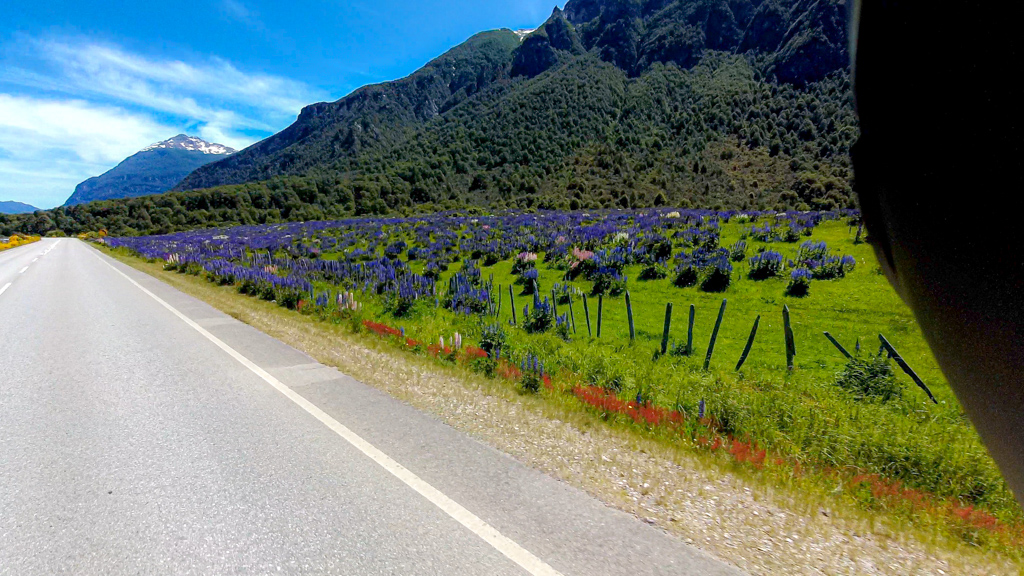 Frühling in Patagonien