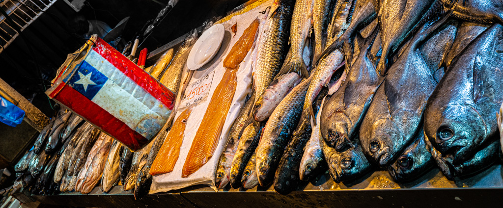 Fischverkauf im Mercado Central