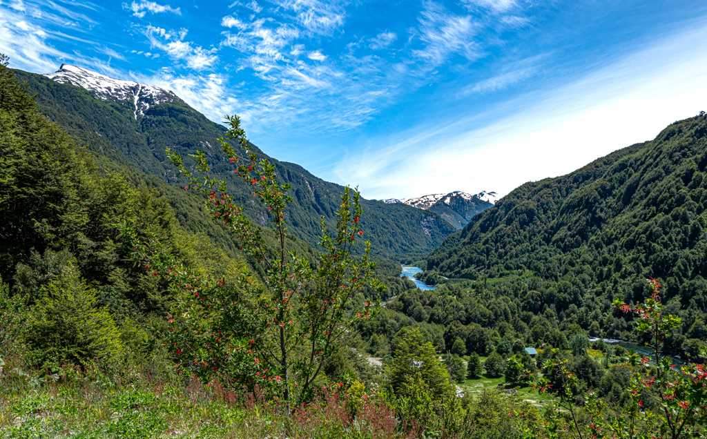 Mirador Río Cisnes