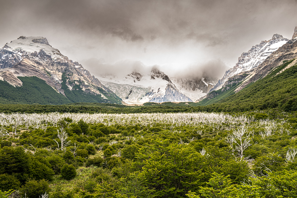 Endmoräne von Glaciar Grande und Glaciar Torre