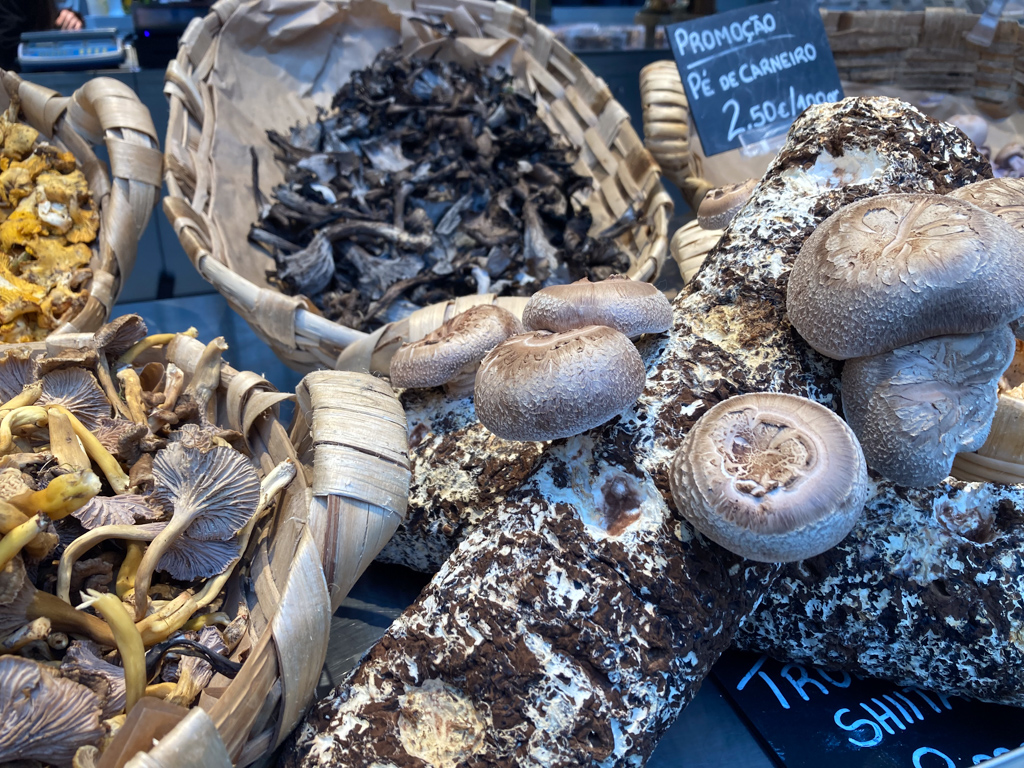 Frische Shiitake Pilze