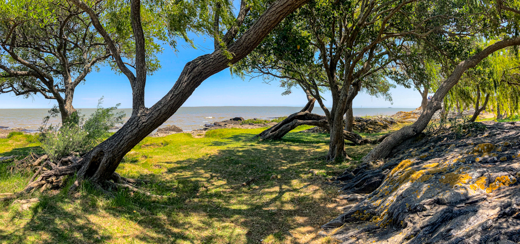 Schattiges Ufer am Río de la Plata