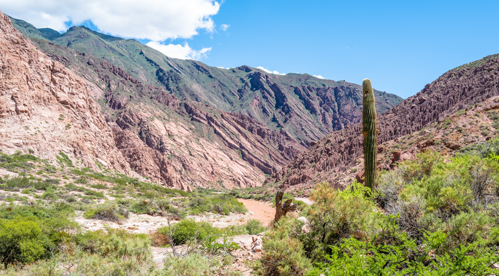 Quebrada de Cafayate