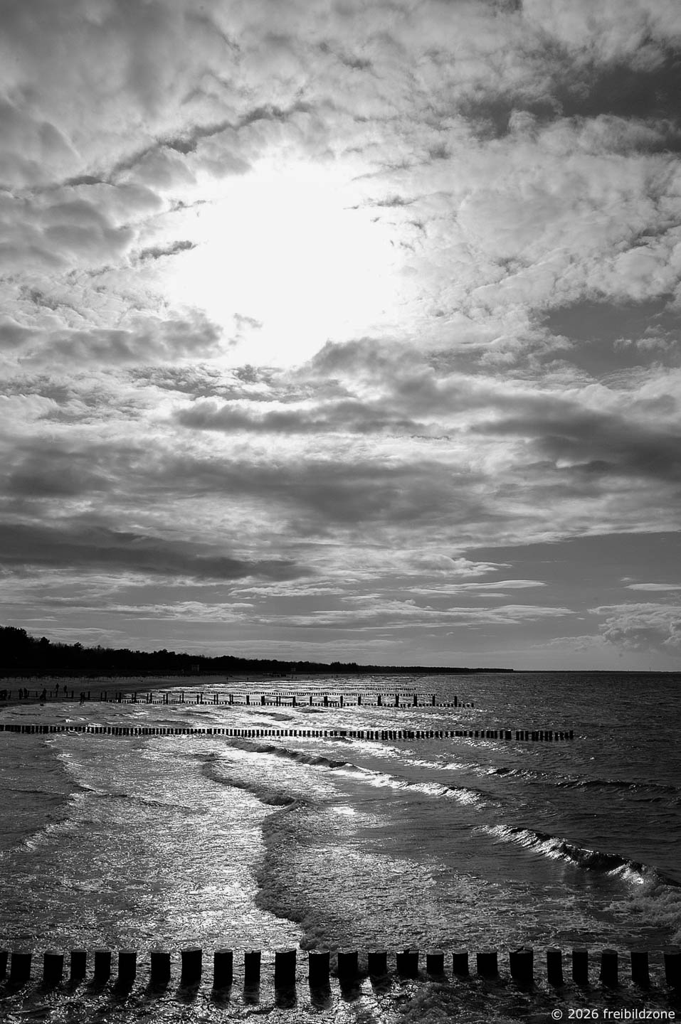 Buhnen, Darß, Deutschland