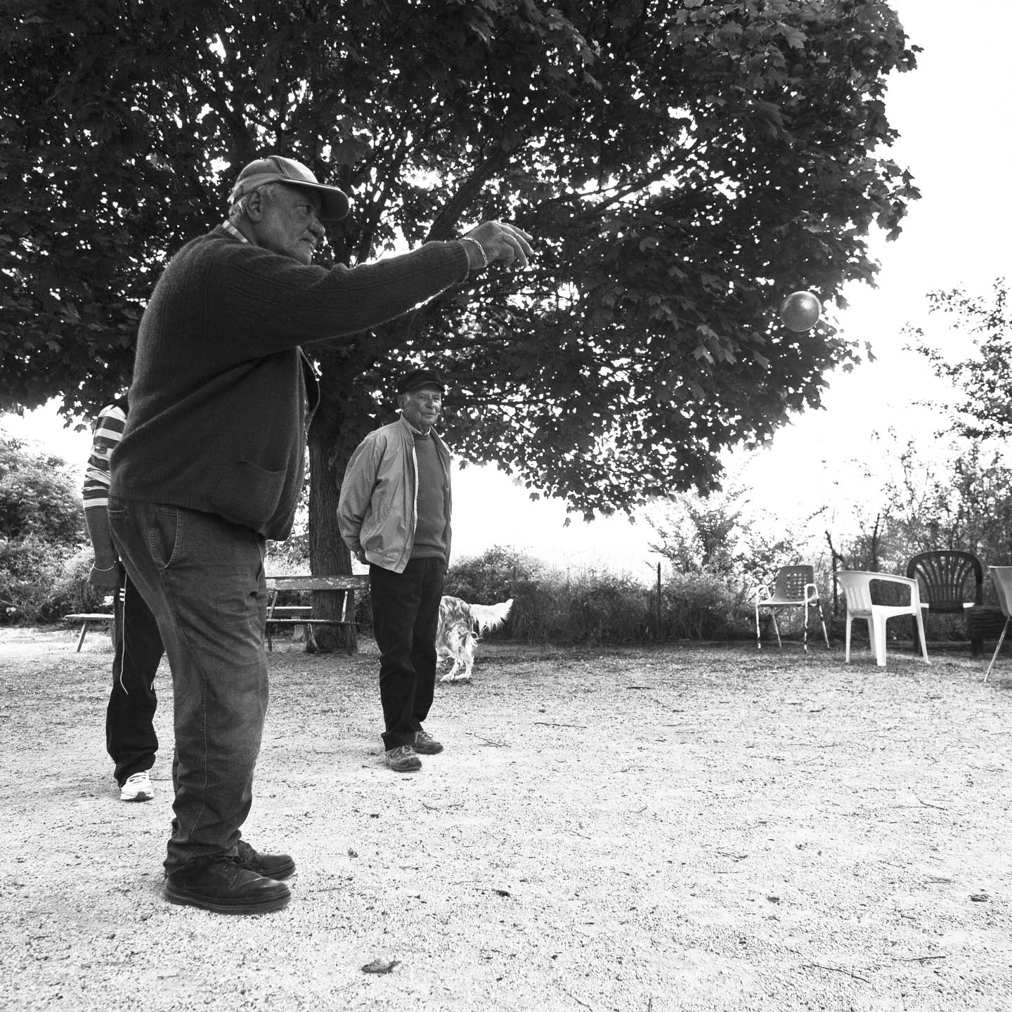 Pétanque, Sault, Provence, France