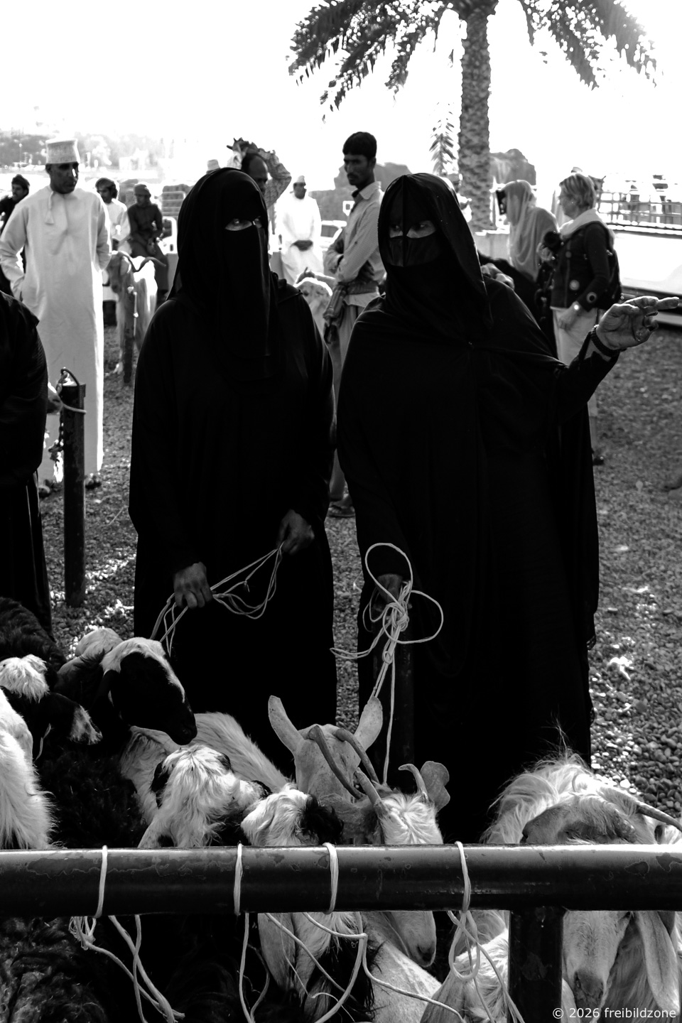 Viehmarkt, Nizwa, Oman