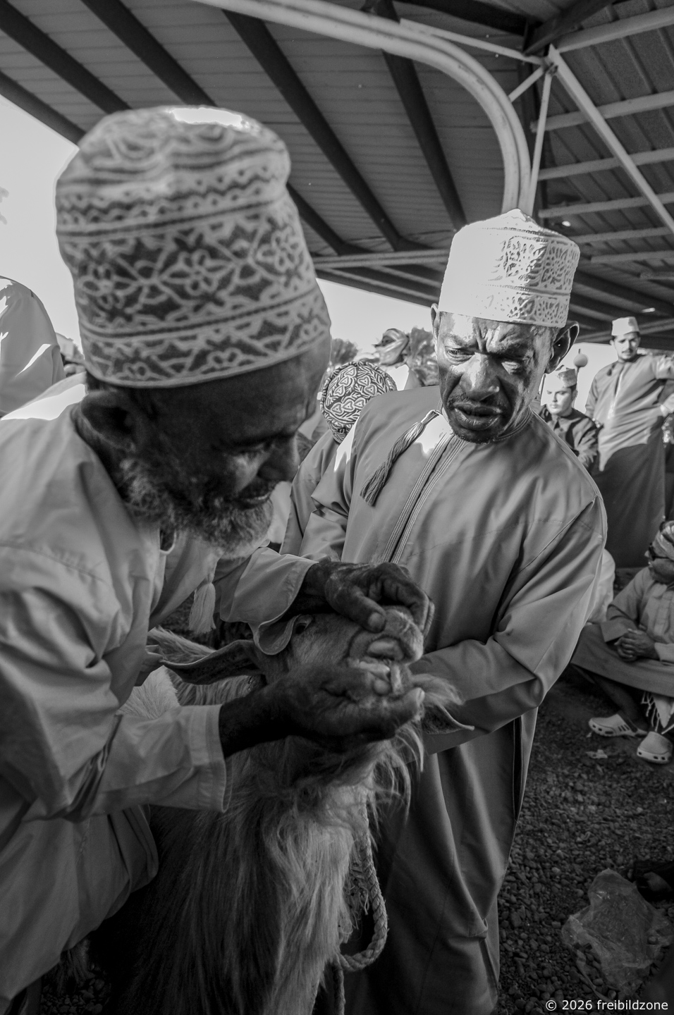 Verhandlung, Viehmarkt, Nizwa, Oman